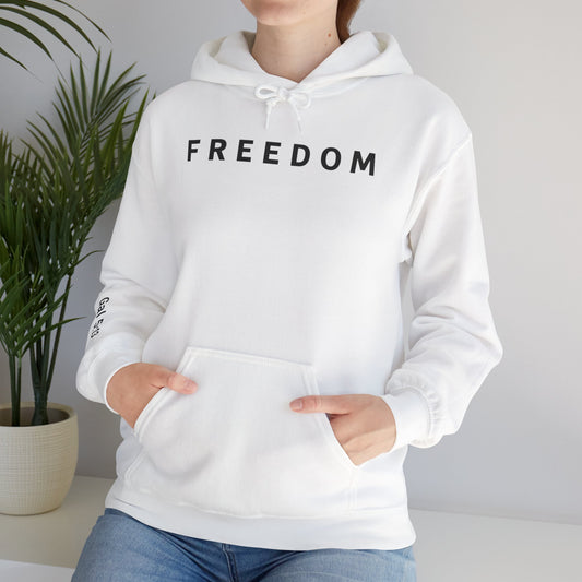 Freedom Hooded Sweatshirt, Cozy Sweatshirt, Religious Apparel, Inspirational Gift, Casual Outfit, Unisex Hoodie