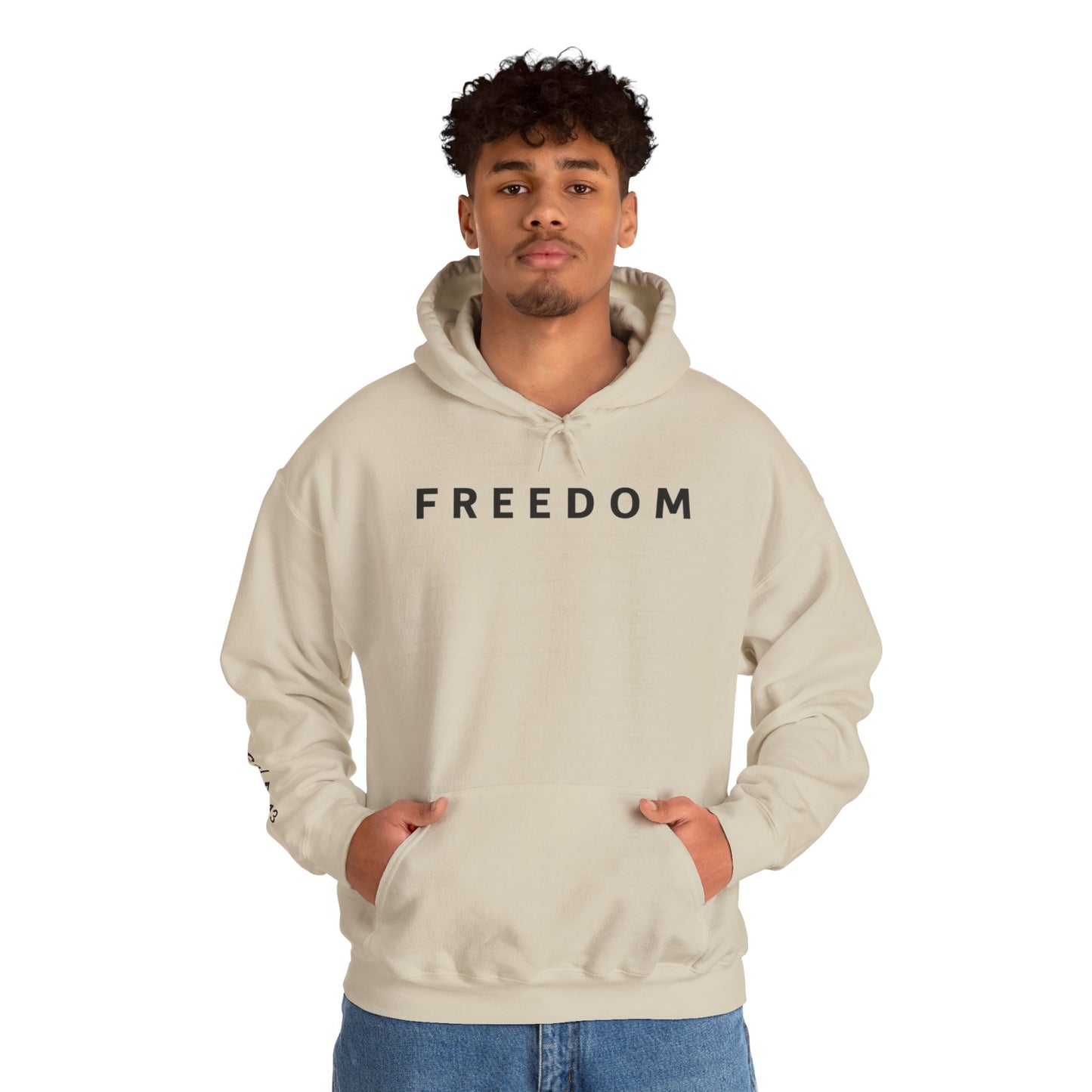 Freedom Hooded Sweatshirt, Cozy Sweatshirt, Religious Apparel, Inspirational Gift, Casual Outfit, Unisex Hoodie