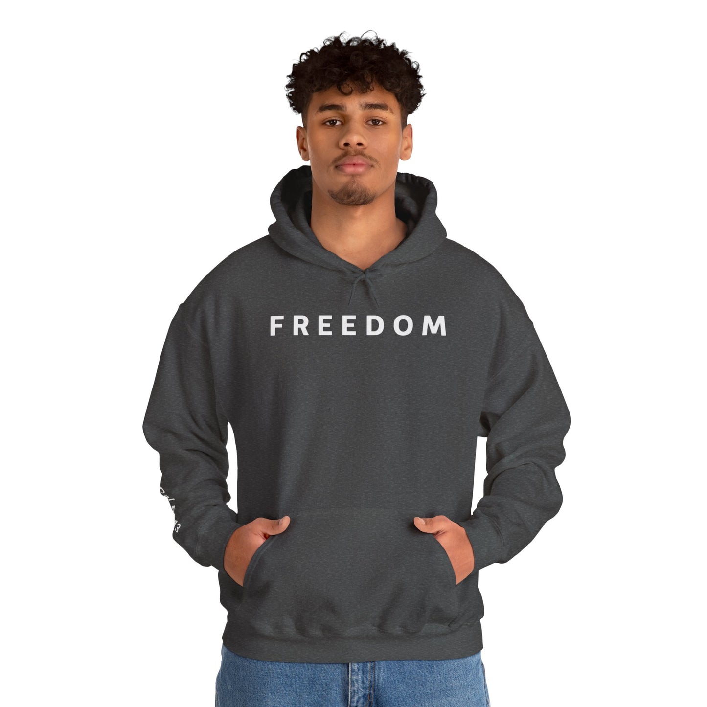 Freedom Hooded Sweatshirt, Cozy Sweatshirt, Religious Apparel, Inspirational Gift, Casual Outfit, Unisex Hoodie