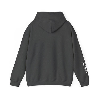 Freedom Hooded Sweatshirt, Cozy Sweatshirt, Religious Apparel, Inspirational Gift, Casual Outfit, Unisex Hoodie