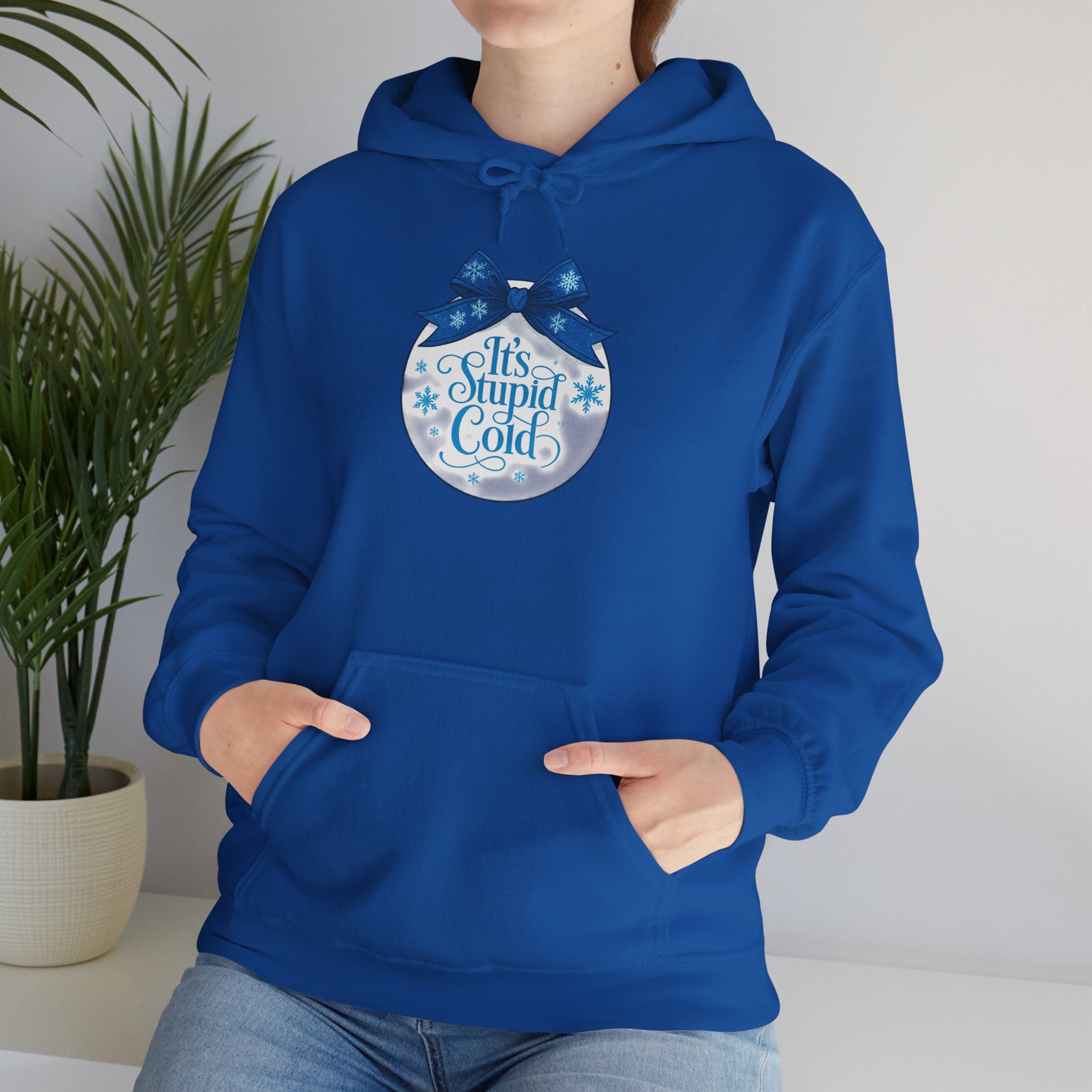 Its Stupid Cold Hoodie — Funny Winter Sweatshirt for Cold Weather