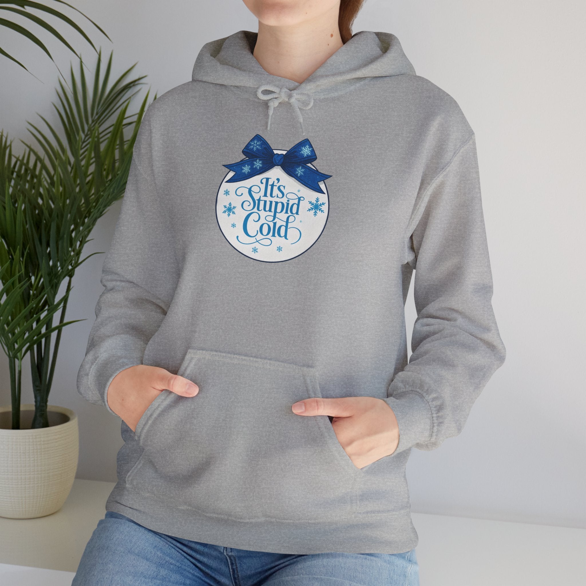Its Stupid Cold Hoodie — Funny Winter Sweatshirt for Cold Weather