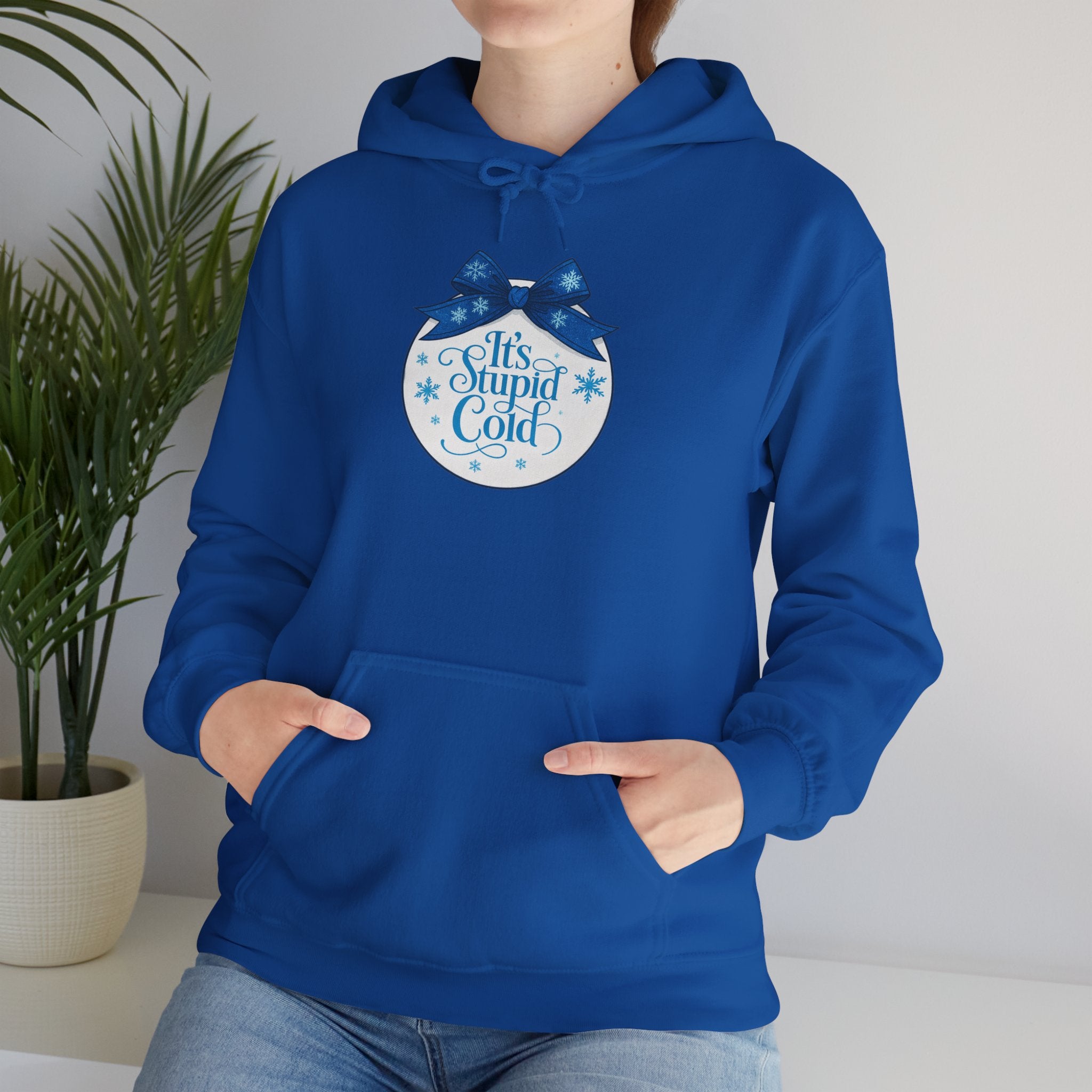 Its Stupid Cold Hoodie — Funny Winter Sweatshirt for Cold Weather