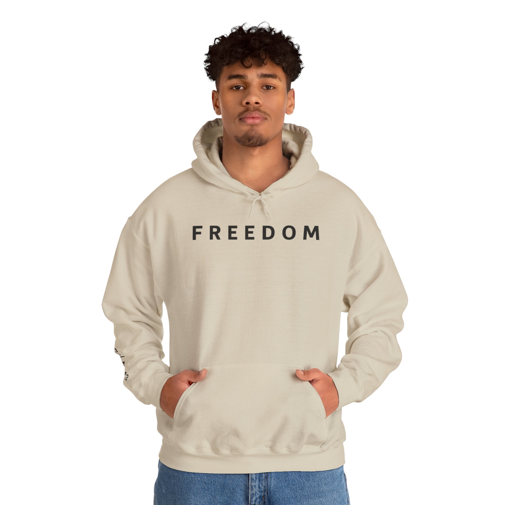 Freedom Hooded Sweatshirt, Cozy Sweatshirt, Religious Apparel, Inspirational Gift, Casual Outfit, Unisex Hoodie