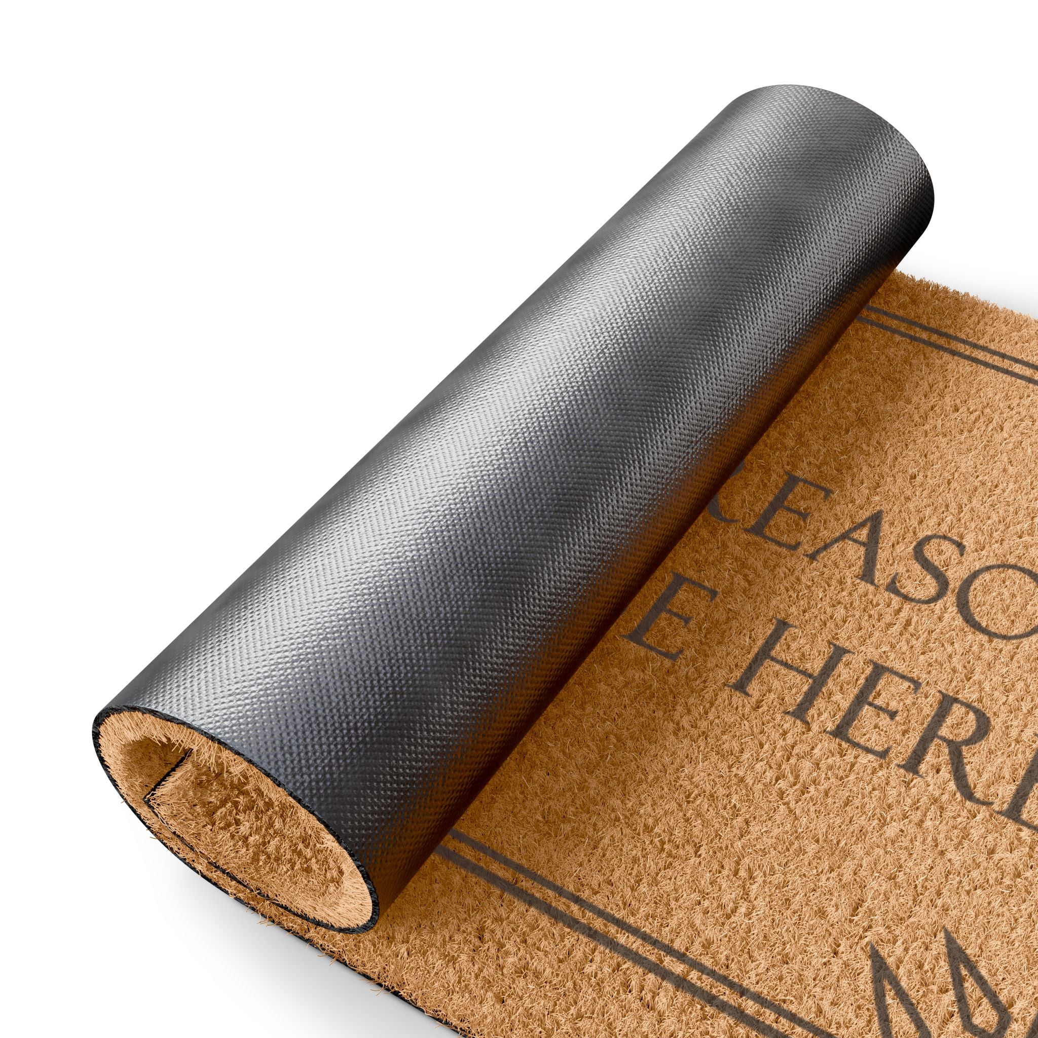 Doormat — "There Is No Reason For You To Be Here" Funny Welcome Coir Mat