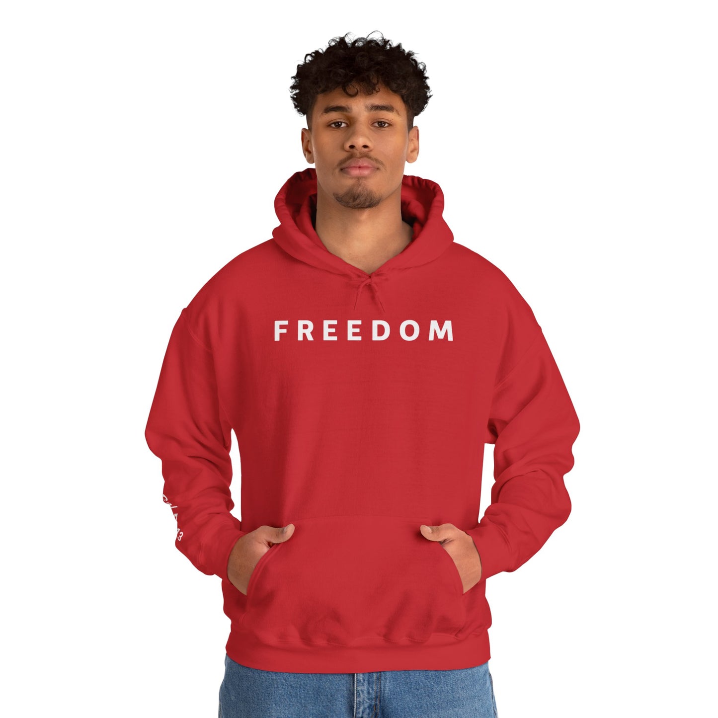 Freedom Hooded Sweatshirt, Cozy Sweatshirt, Religious Apparel, Inspirational Gift, Casual Outfit, Unisex Hoodie