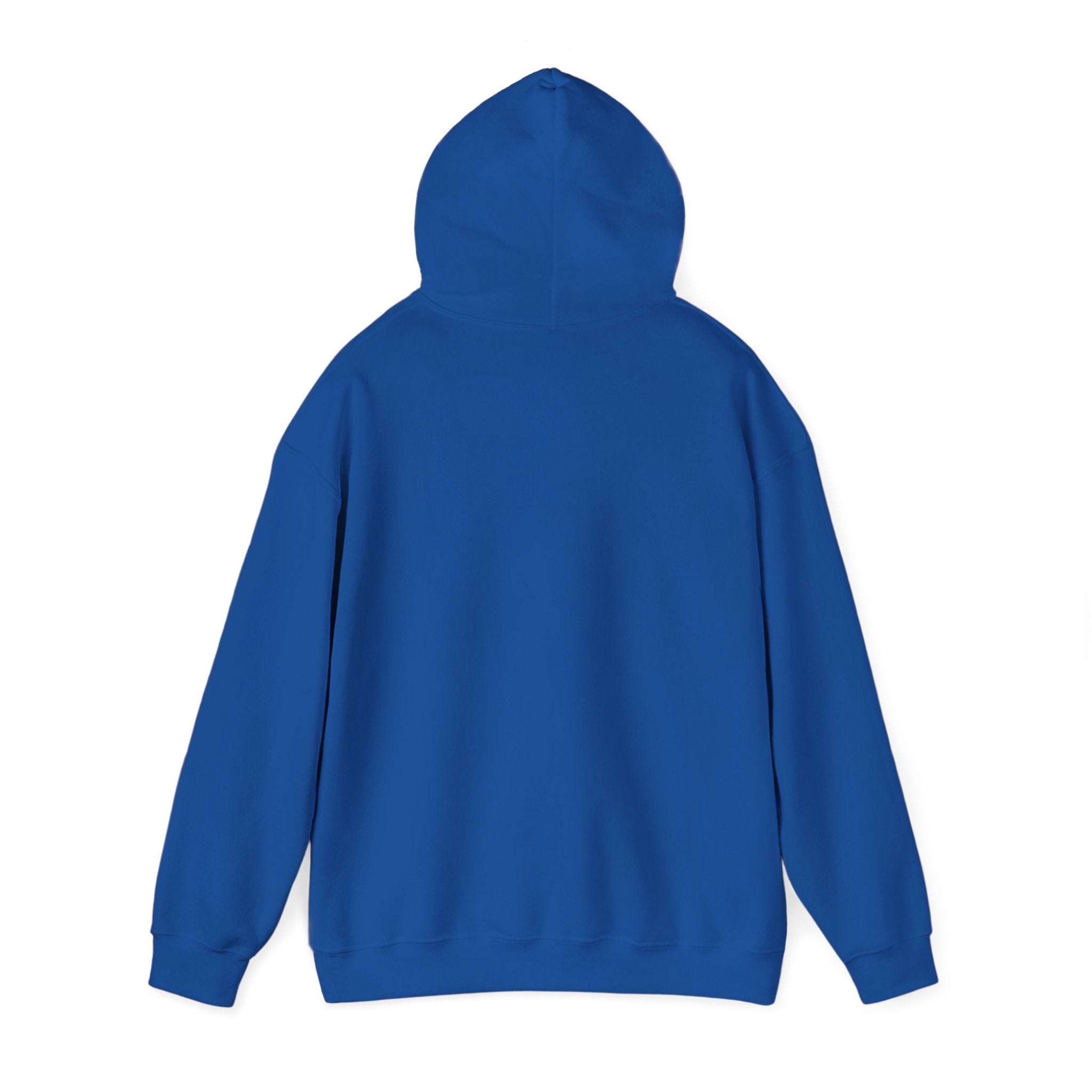 Its Stupid Cold Hoodie — Funny Winter Sweatshirt for Cold Weather