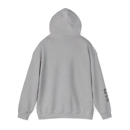 Freedom Hooded Sweatshirt, Cozy Sweatshirt, Religious Apparel, Inspirational Gift, Casual Outfit, Unisex Hoodie