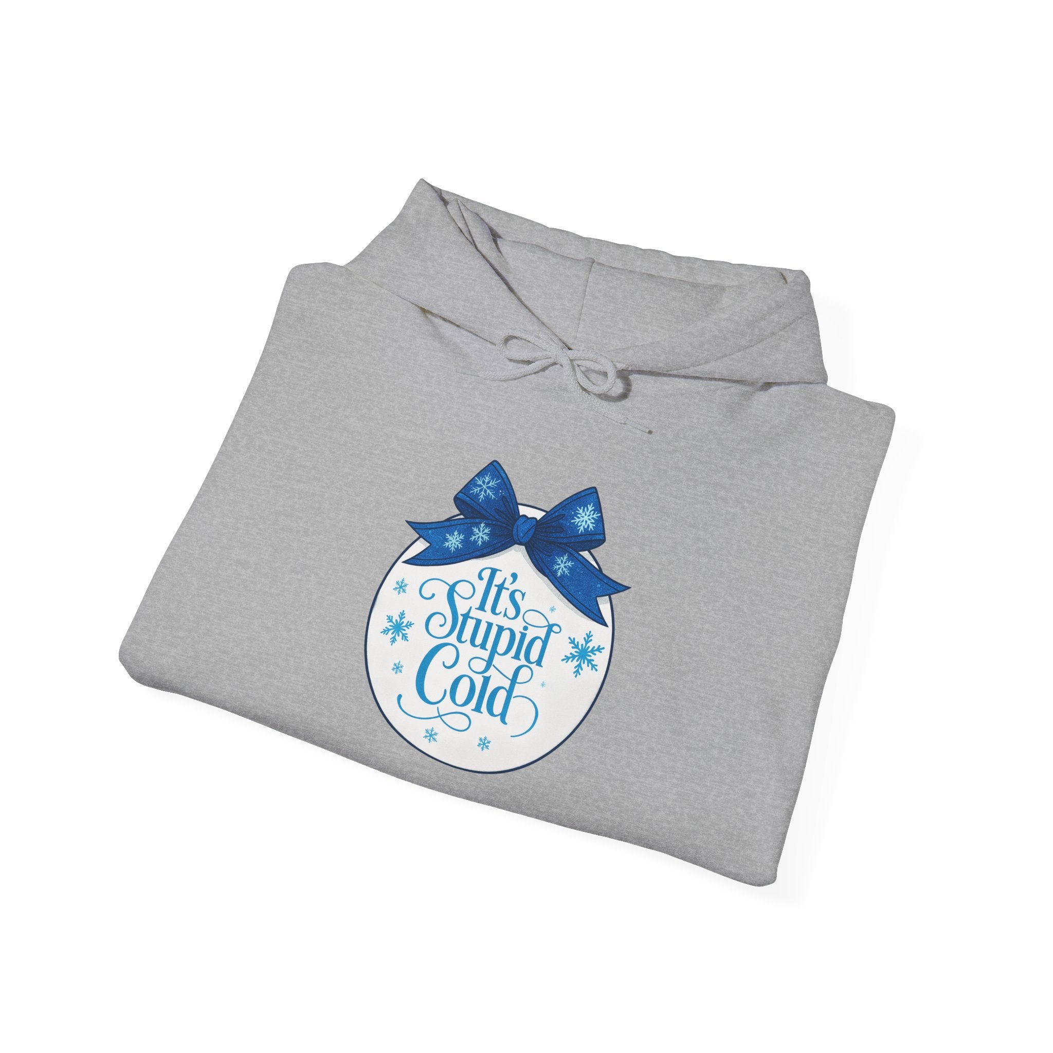Its Stupid Cold Hoodie — Funny Winter Sweatshirt for Cold Weather