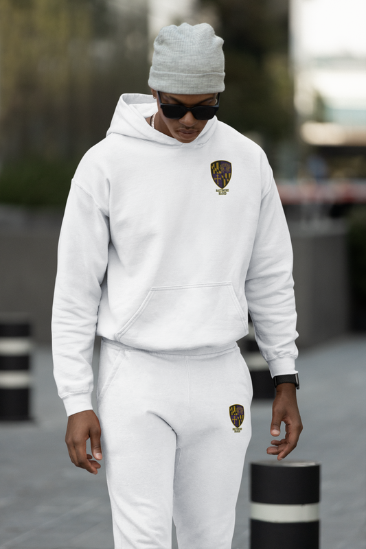 Hoodie: Baltimore Blood Design
