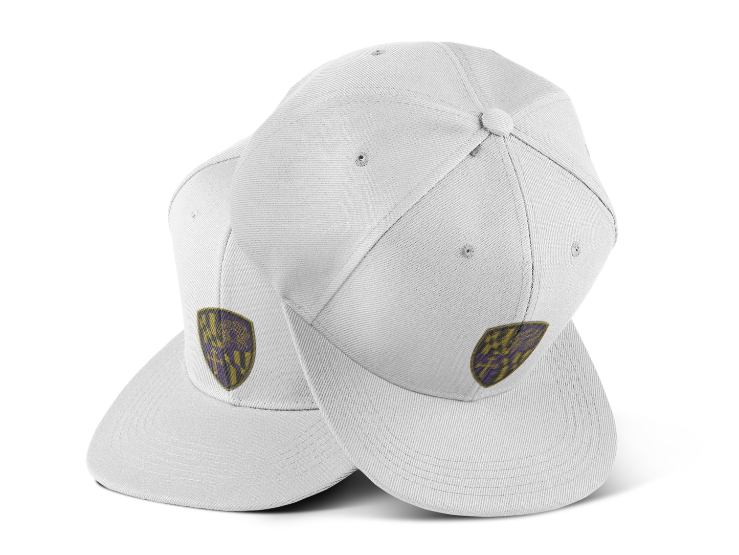 Snapback Cap Purple Blood Design