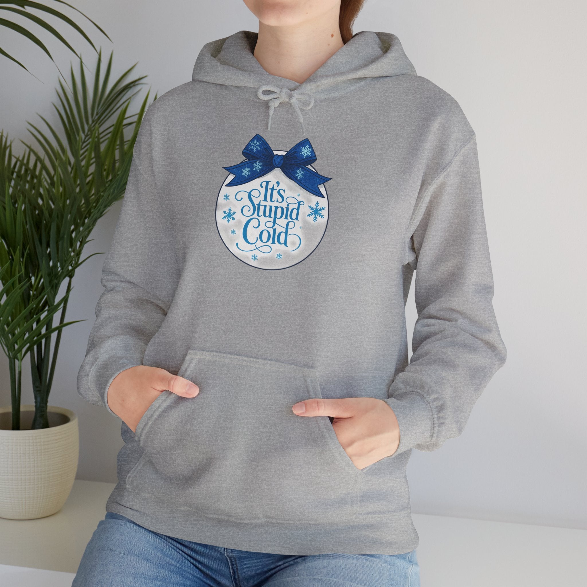 Its Stupid Cold Hoodie — Funny Winter Sweatshirt for Cold Weather