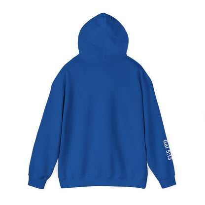 Freedom Hooded Sweatshirt, Cozy Sweatshirt, Religious Apparel, Inspirational Gift, Casual Outfit, Unisex Hoodie