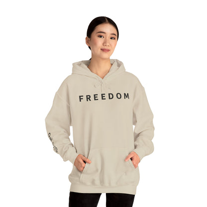 Freedom Hooded Sweatshirt, Cozy Sweatshirt, Religious Apparel, Inspirational Gift, Casual Outfit, Unisex Hoodie
