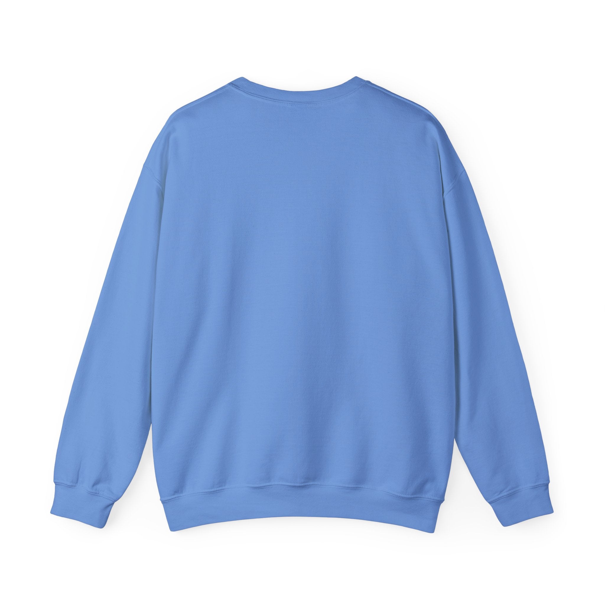 Winter Is Stupid Sweatshirt — Funny Holiday Crewneck with Blue Snowflake Ornament