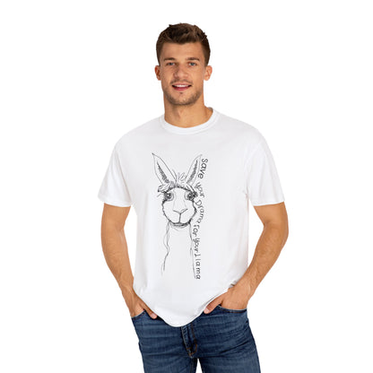 Llama Graphic T-shirt - Save Your Drama for Your Llama