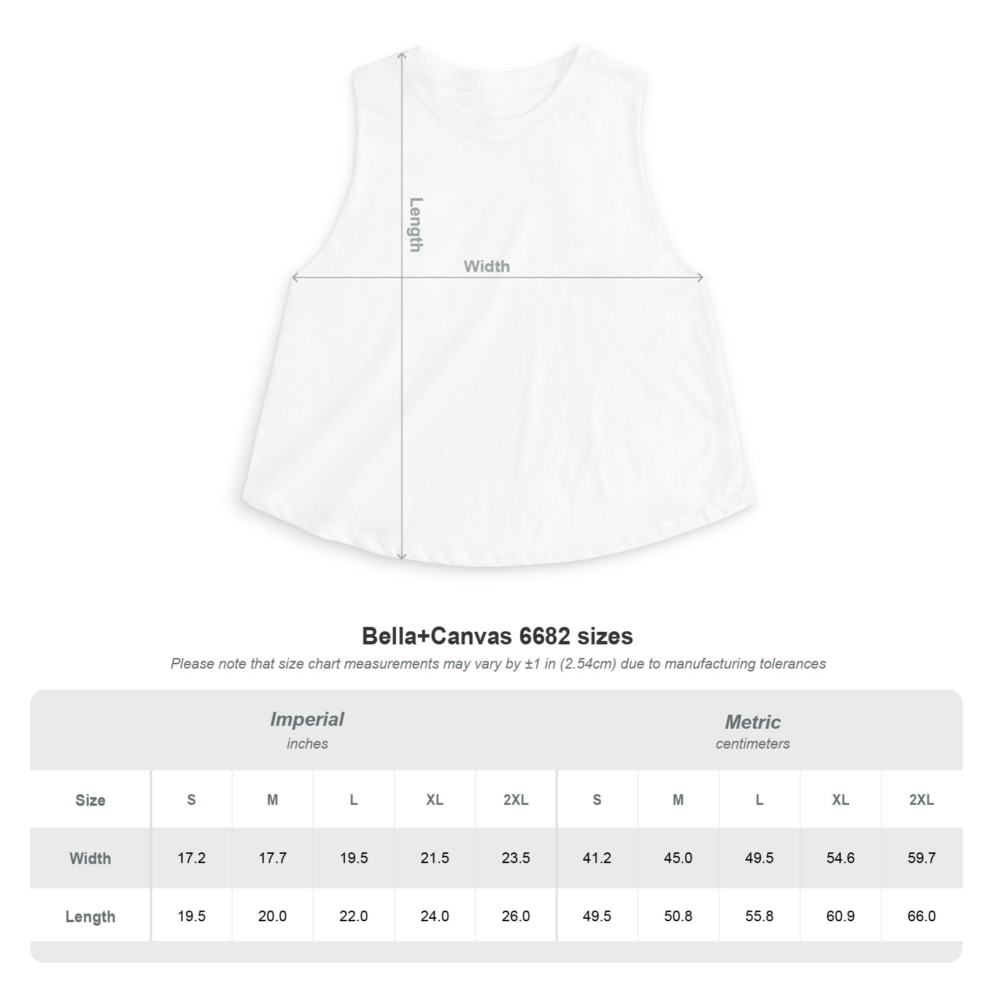 The BQ Drone Guy Graphic Sleeveless Tank crop top